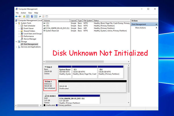 Full Solutions to Fix Disk Unknown Not Initialized (2 Cases)