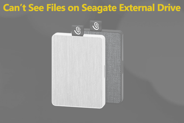 Cant See Files on Seagate External Drive? Try These 4 Quick Fixes