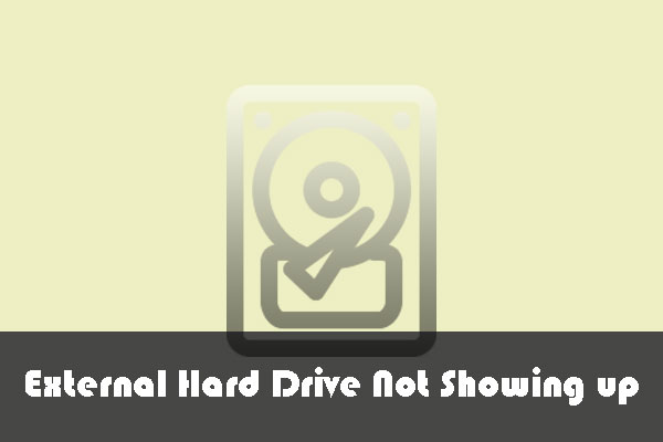 10 Cases: External Hard Drive Not Showing up & Best Fixes