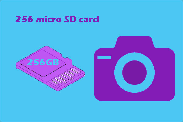 Best 256GB Micro SD – Manage It Better from 3 Aspects
