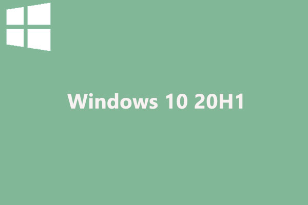 The Latest Windows 10 20H1 Test Build Tweaks Network Status Page