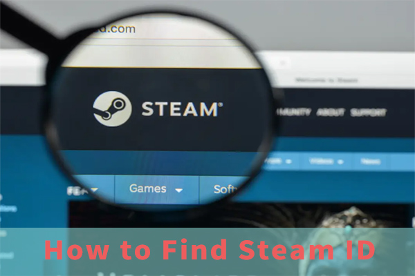 How to Find Your Steam ID? - Here’s a Complete Guide - MiniTool ...