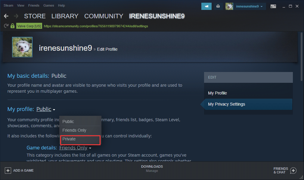 How to Hide Your Steam Activity