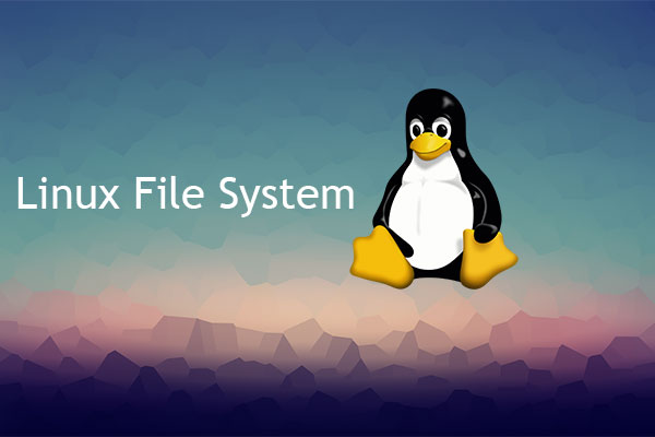 Introduction to Linux File System [Structure and Types]