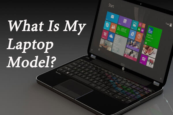 how to find the make of your laptop