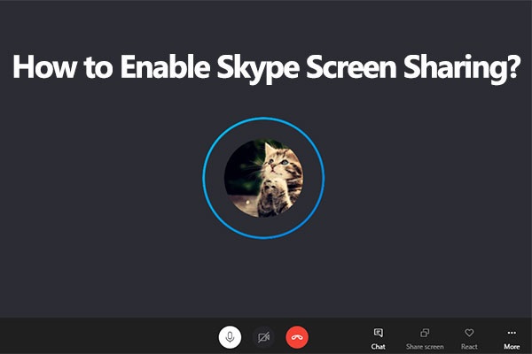 How to Enable Skype Screen Sharing? Here Is the Tutorial
