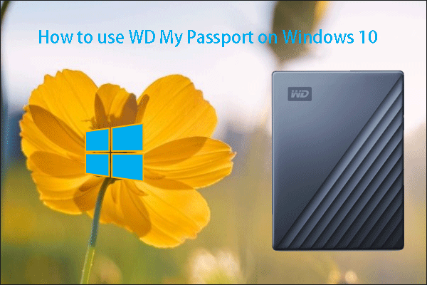 WD My Passport HDD and SSD: How to Use It on Windows 10