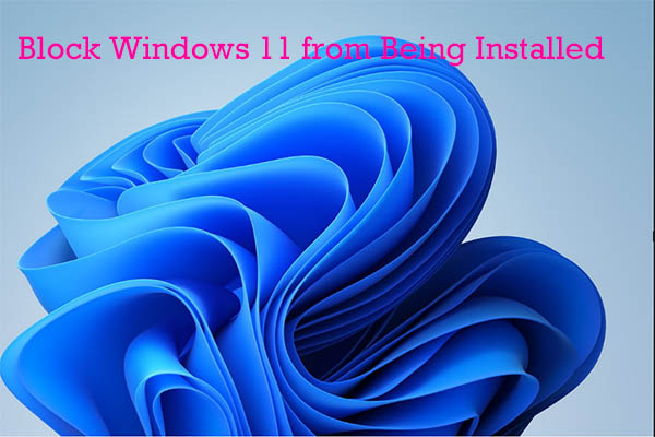 Block Windows 11 from Being Installed on Your Computer