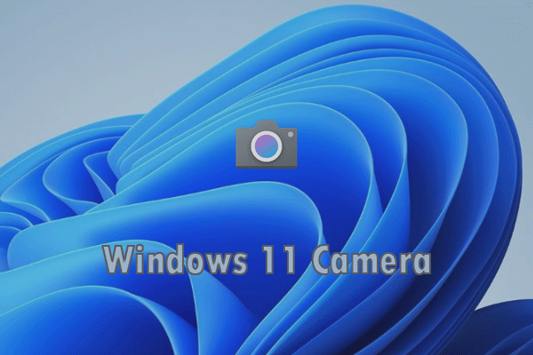 How to Enable and Disable Camera in Windows 11?