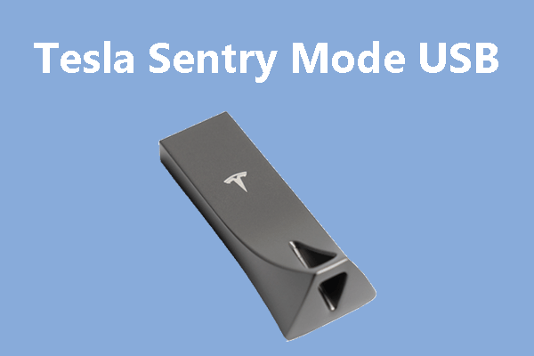 peddling tidligere svag How to Choose and Install a Tesla Sentry Mode USB Drive - MiniTool  Partition Wizard