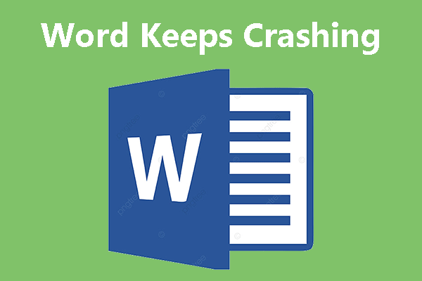 What Should You Do If Word Keeps Crashing [5 Ways]