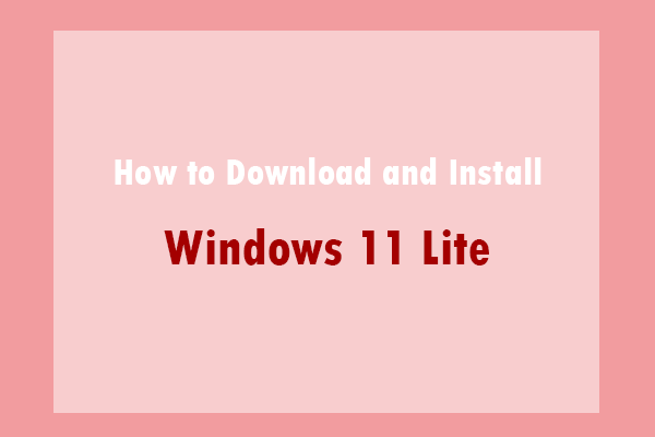 Install Windows 11 Lite ISO on Any PC without TPM and Secure Boot 