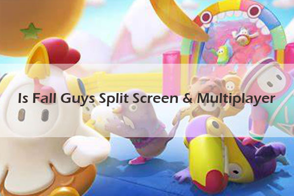 Is Fall Guys Split Screen & Multiplayer?