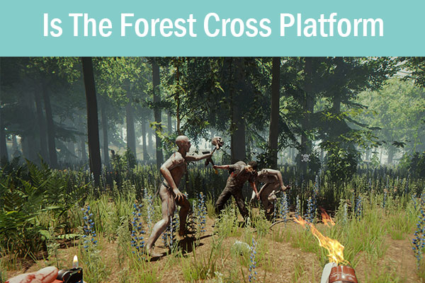 THE FOREST COOPERATIVO 2022, O INÍCIO NO MULTIPLAYER