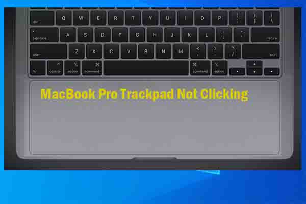 MacBook Pro/Air Trackpad Not Clicking? [6 Solutions]