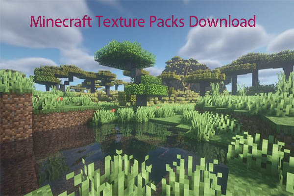 10+ Beste Minecraft Texture Packs: Download und Installation