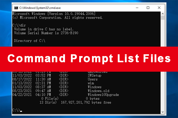 CMD List Files: How to List Files in Command Prompt Windows 10/11 -  MiniTool Partition Wizard