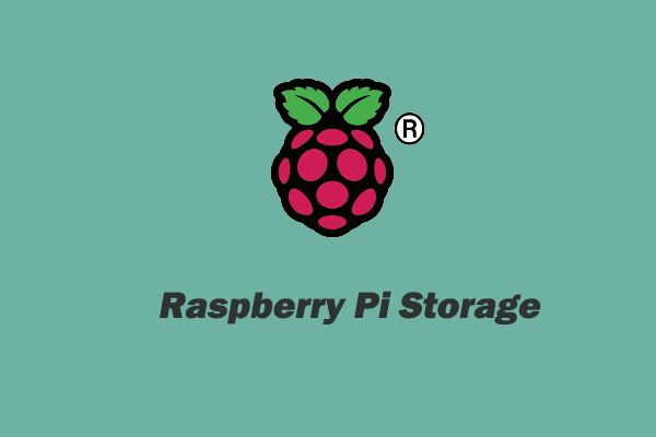 How to Increase Raspberry Pi Storage [4 Ways]