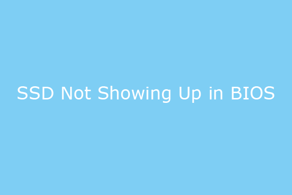 4 Ways to Fix SSD Not Showing Up in BIOS