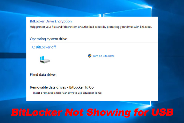 BitLocker Not Showing for USB/External Hard Drive? [Fixed]