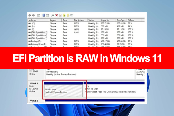 How to Fix It If EFI Partition Is RAW in Windows 10/11? [3 Ways]