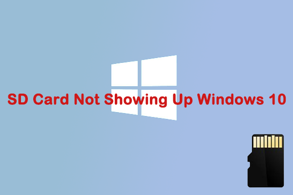 SD Card Not Showing Up in Windows 10? Fix It with This Guide