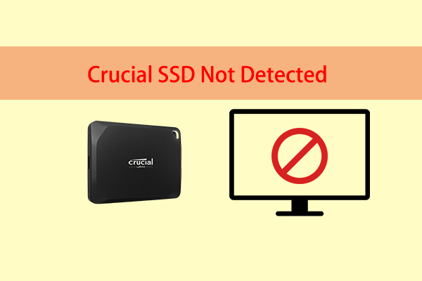 A Full Guide to Fixing the “Crucial SSD Not Detected” Issue