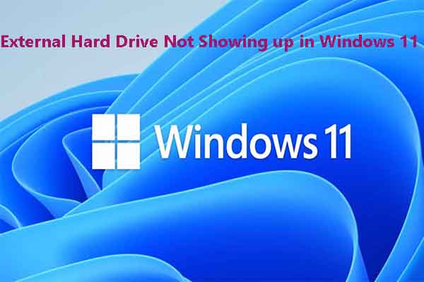 External Hard Drive Not Showing up Windows 11 [Solved]