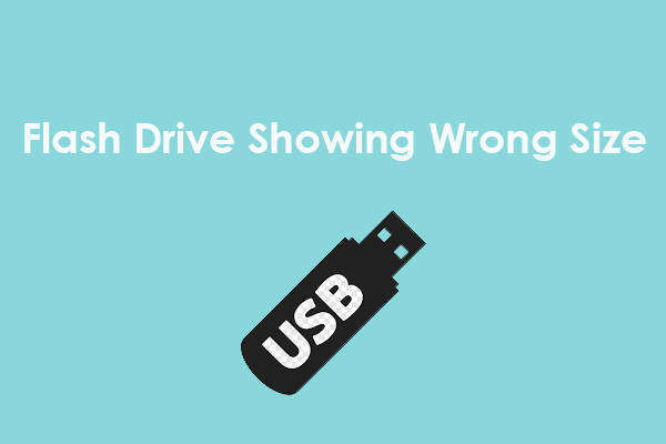 [Quick Fix] The USB Flash Drive Showing Wrong Size