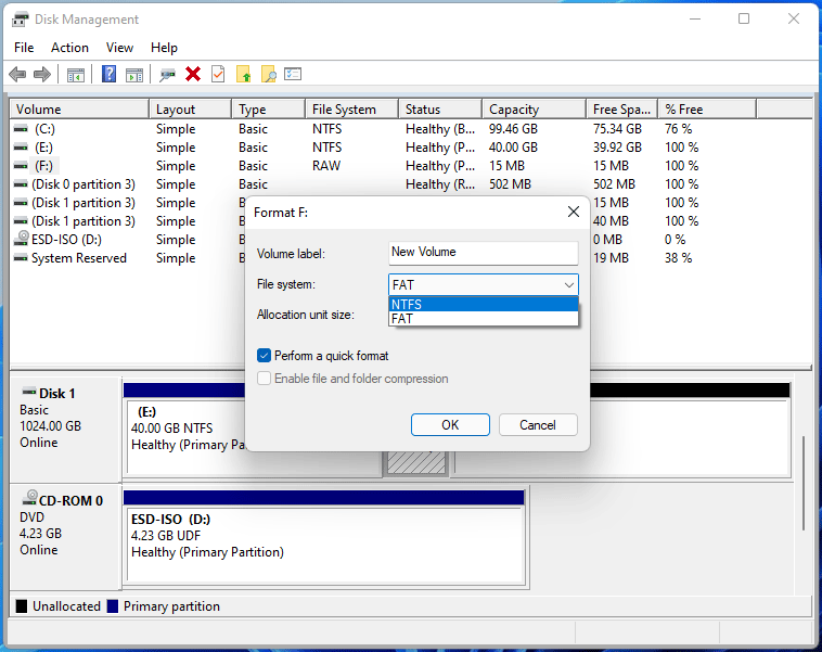 format a partition using Disk Management