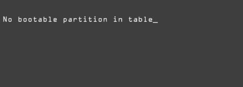 No bootable partition in table