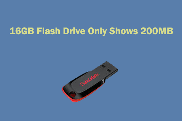 [Quick Fix] 16GB Flash Drive Only Shows 200MB