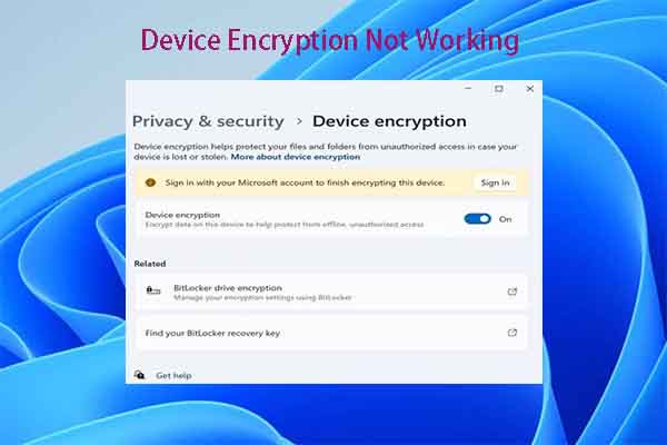 Device Encryption Not Working on Windows 11[2 Solutions]