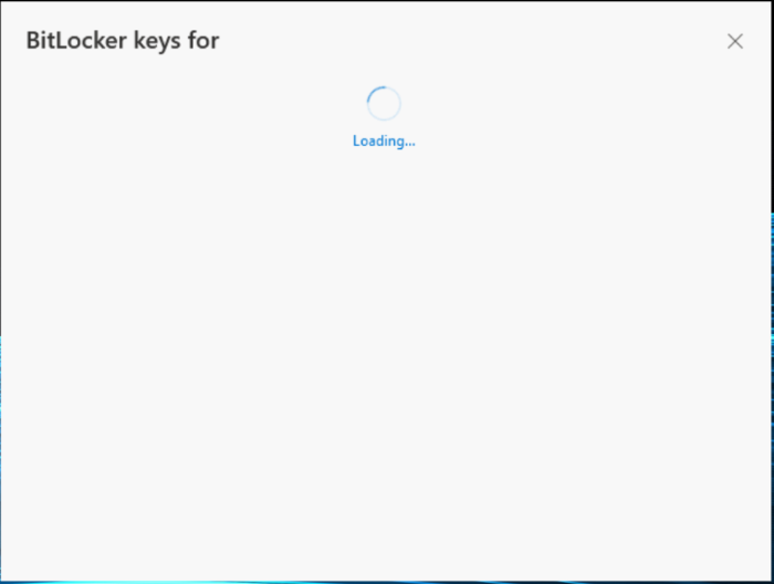 View BitLocker Keys Stuck in Loading Cycle? Try These Fixes