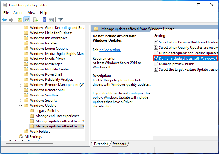how to check for bios updates windows 11