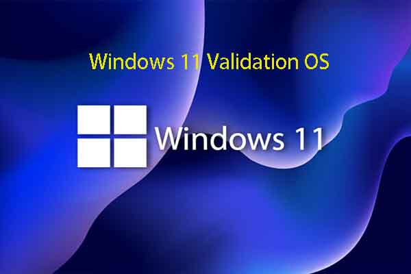 Windows 11 Validation OS: Get This Lightweight System Now