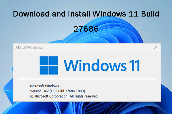 windows 11 insider preview build 27686