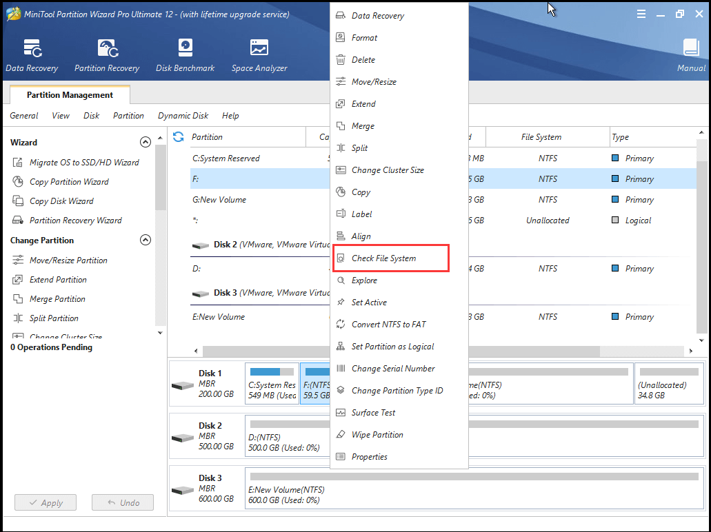 click Check File System to continue