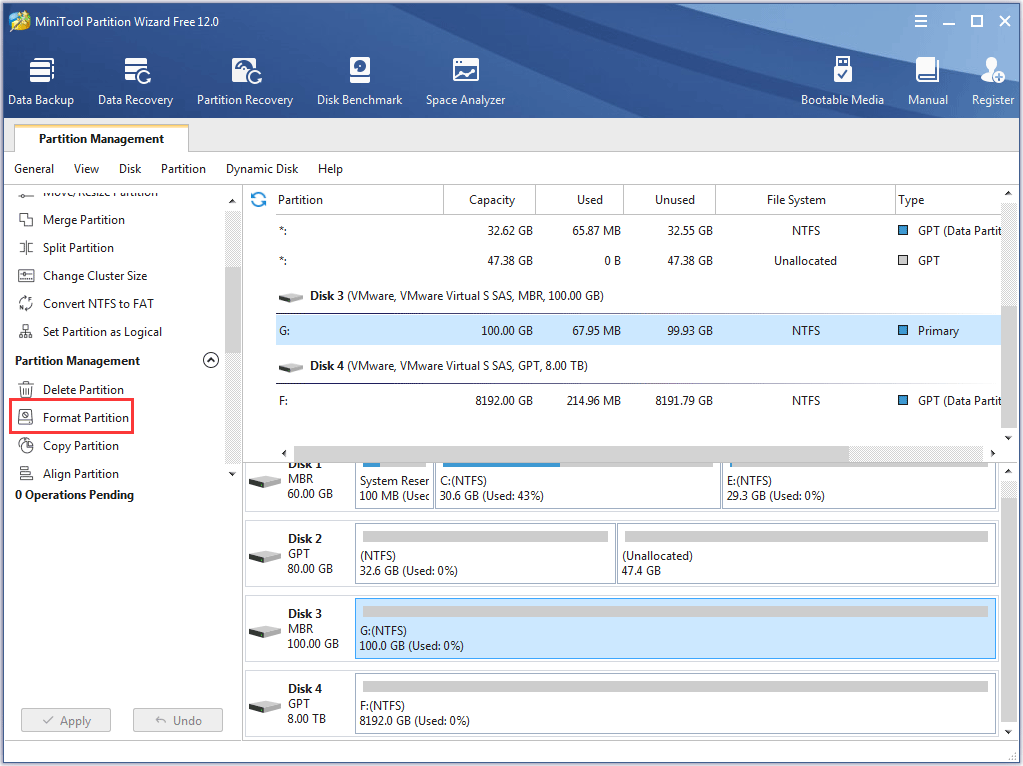 click Format or Format Partition from the left panel