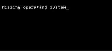 Here Are 5 Perfect Solutions to Missing Operating System