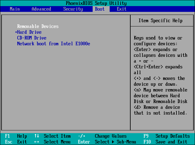 set Removable Devices at the first place of the boot sequence