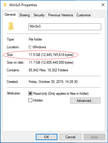 check the size of WinSxS folder