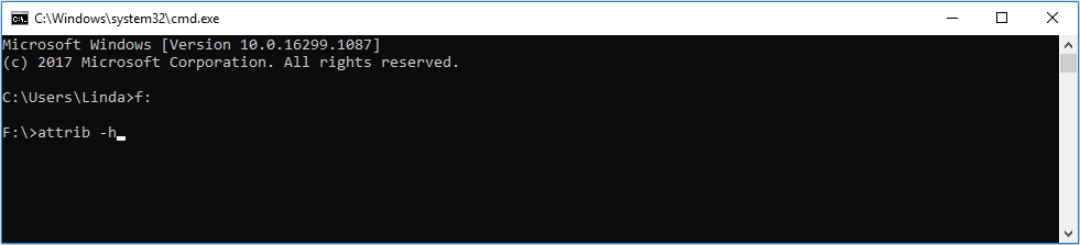 show hidden files with command