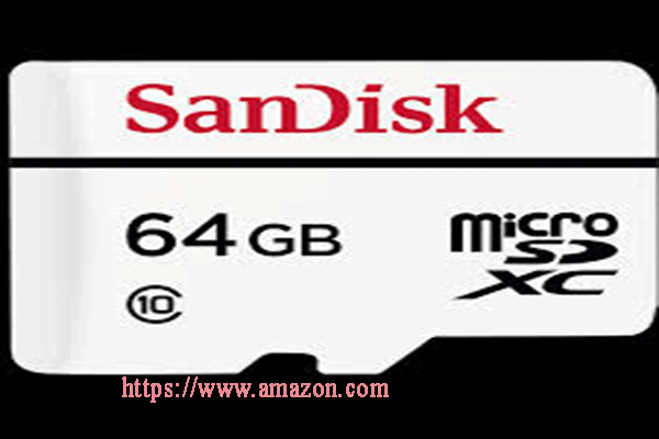 the appearance of SanDisk High Endurance Micro SD 64GB