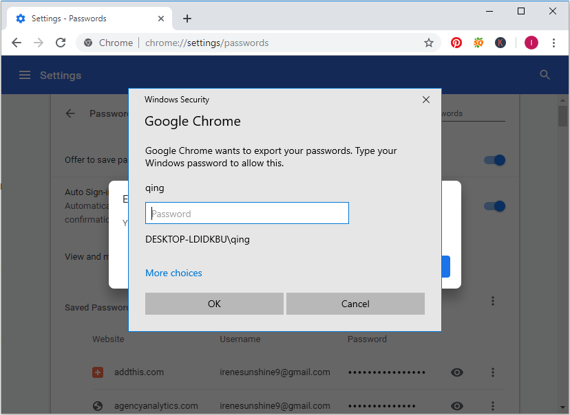 type Windows password
