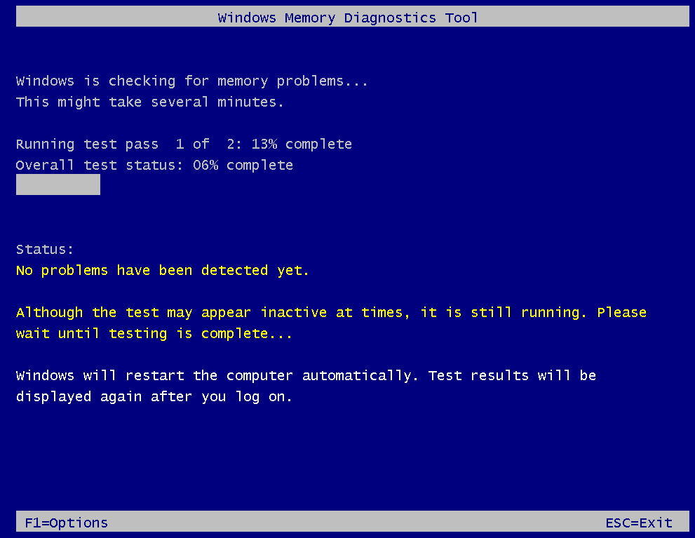 memory diagnosis process
