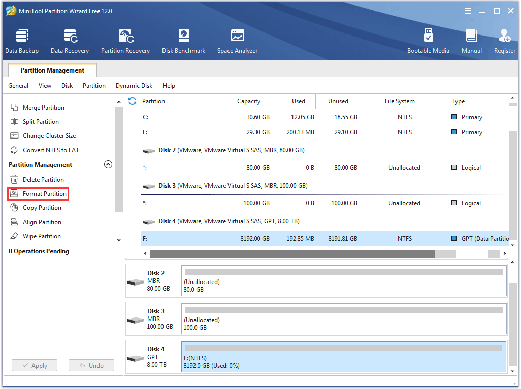 activate the Format Partition feature