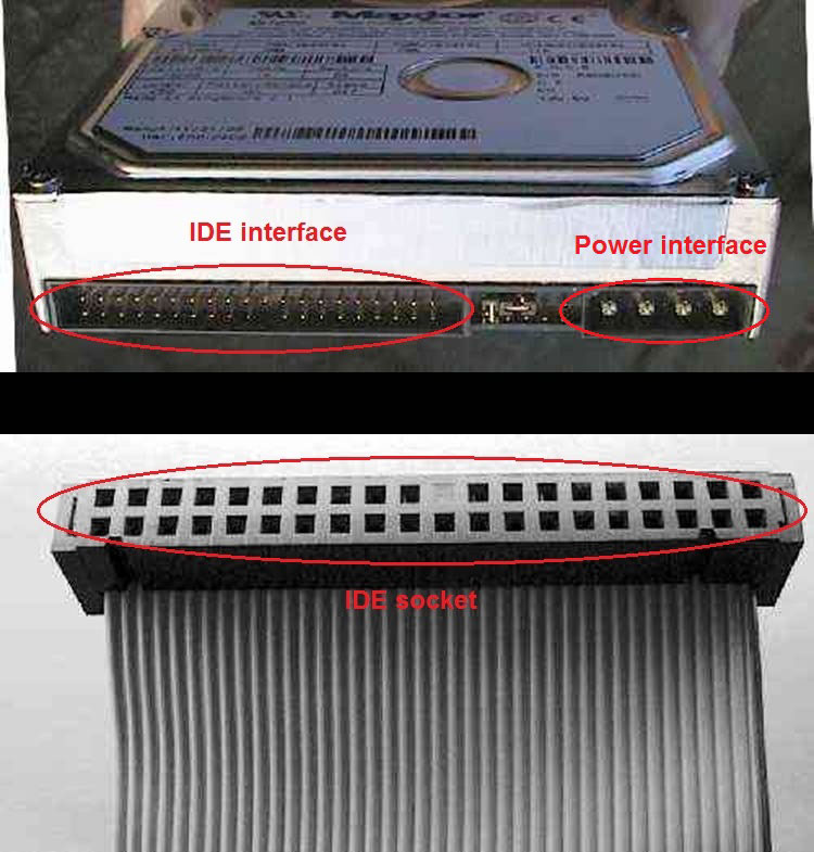 IDE interface and socket