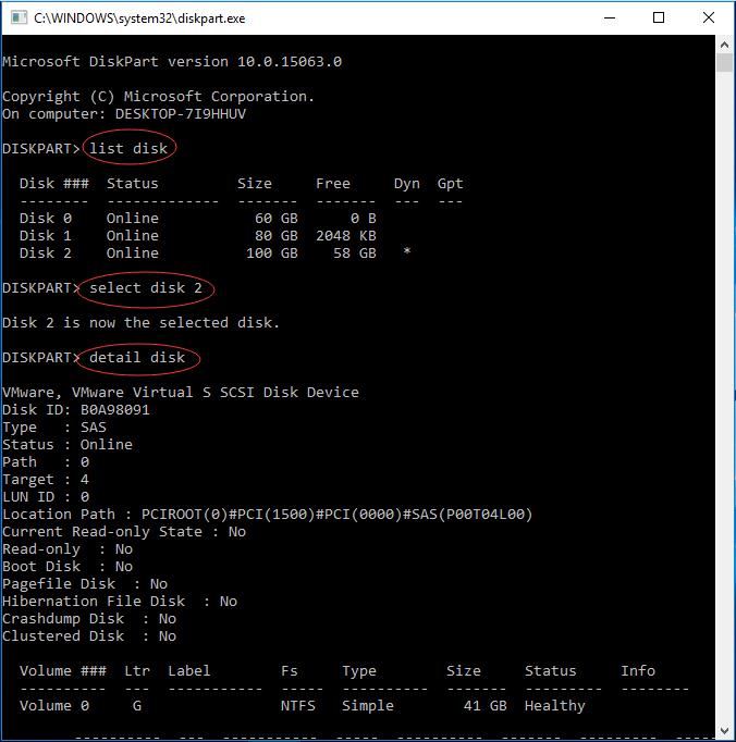 detail disk in diskpart