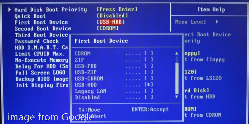 set USB as the first boot device in the BIOS window